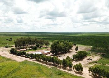 Fazenda em Baianópolis (BA), vendida pela BrasilAgro em julho de 2025
