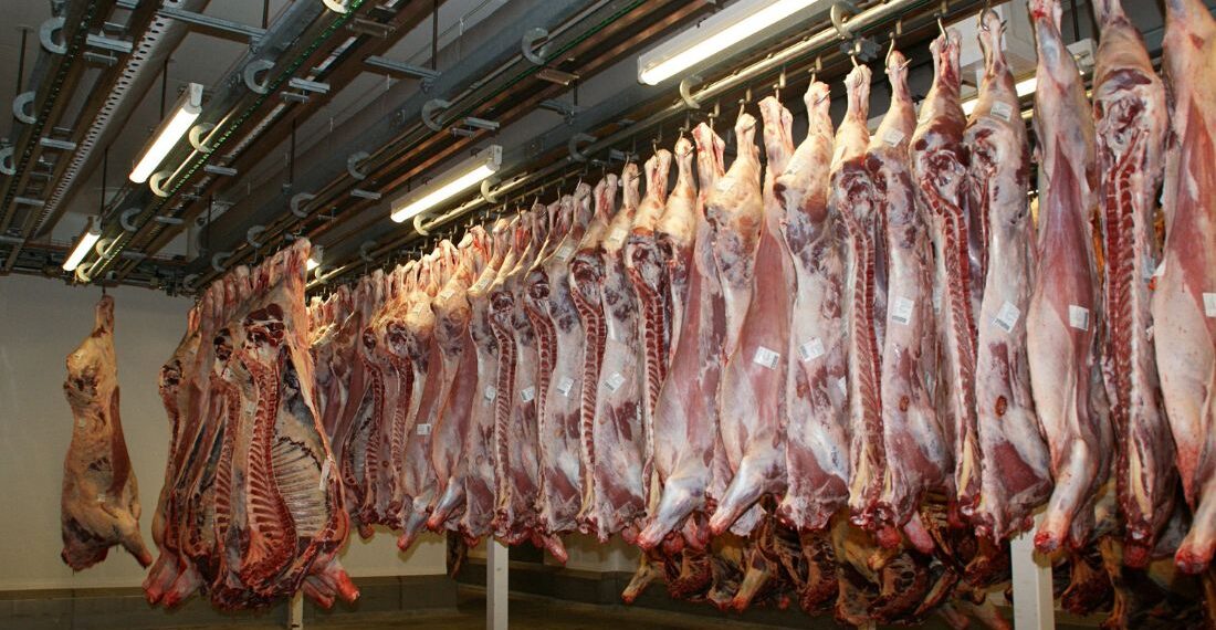 Exportações de carne bovina: México supera EUA em agosto