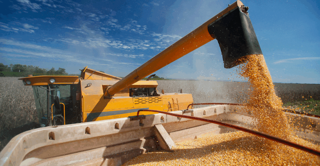 IGP-M novembro 2025 surpreende e registra deflação