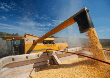 IGP-M novembro 2025 surpreende e registra deflação