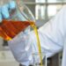 Mistura de biodiesel no diesel pode subir para 17%