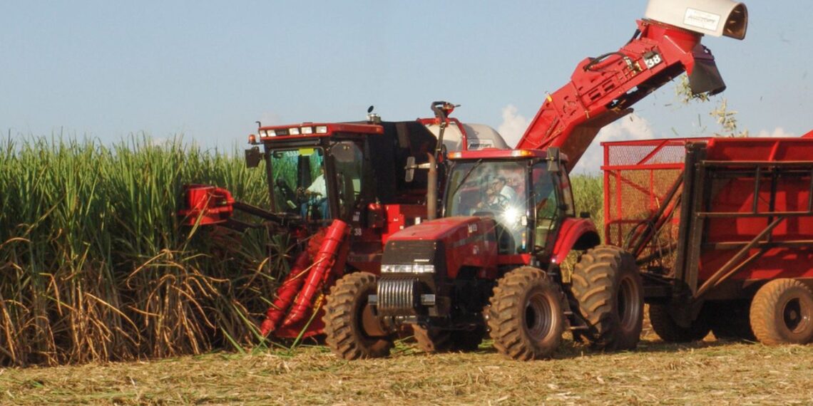 Pedidos de recuperação judicial disparam no agro