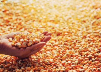 IGP-10 cai em março e amplia queda no ano