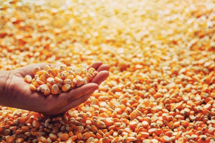 IGP-10 cai em março e amplia queda no ano