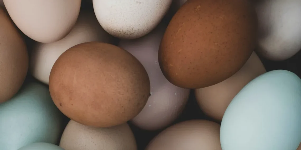 Alta no preço dos ovos surpreende consumidores