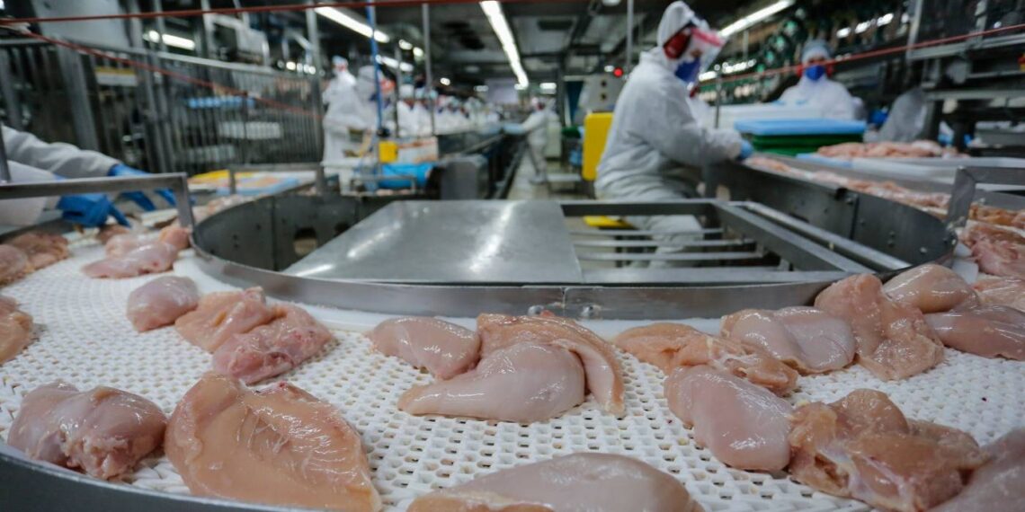 Guerra no Oriente Médio pode subir preço dos alimentos