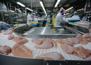 Guerra no Oriente Médio pode subir preço dos alimentos