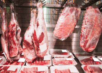 Exportações de proteína do Brasil avançam em 2026