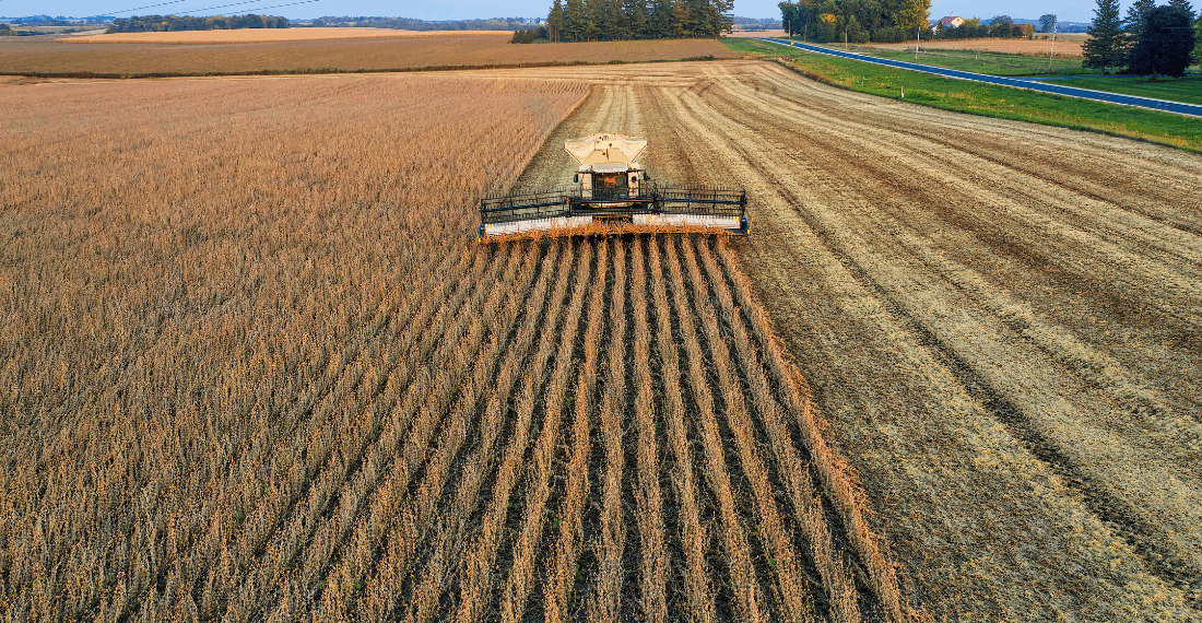 Seca e calor reduzem safra de soja no RS