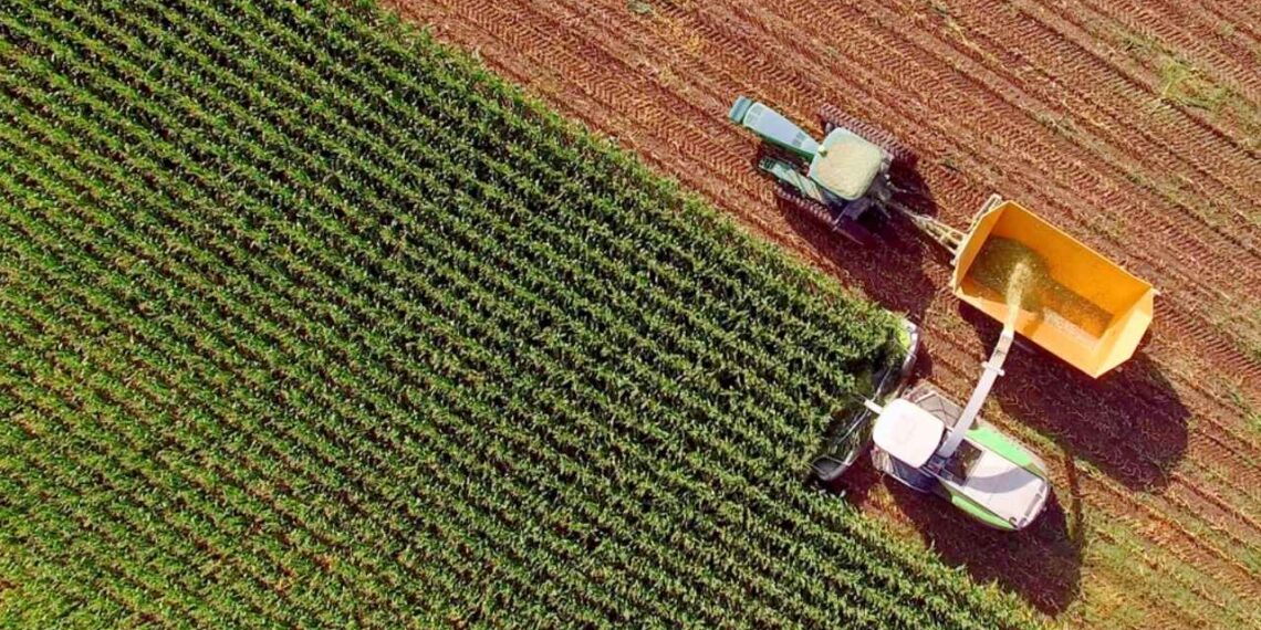 Safra de cana 2026/27 avança no Brasil