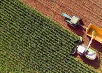 Safra de cana 2026/27 avança no Brasil