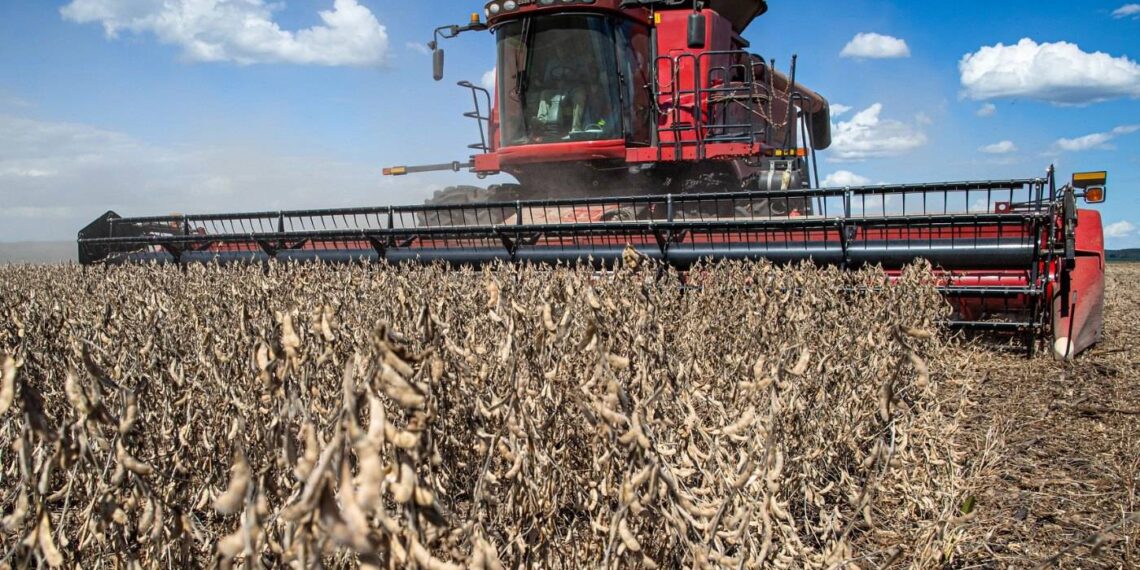 Venda de máquinas agrícolas cai pelo 5º ano