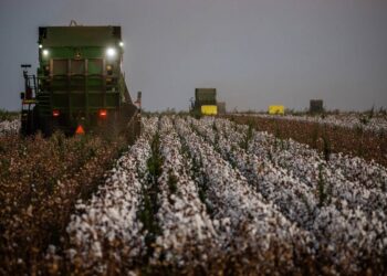 Seguro Rural avança e pode baratear crédito rural