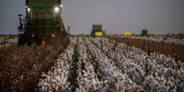 Seguro Rural avança e pode baratear crédito rural
