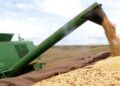 Agro responde por quase metade das exportações do Brasil