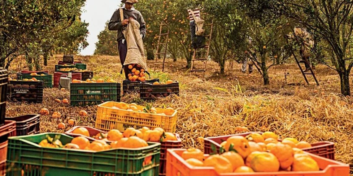 Agro cria 30,5 mil empregos, mas resultado preocupa