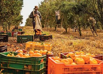 Agro cria 30,5 mil empregos, mas resultado preocupa