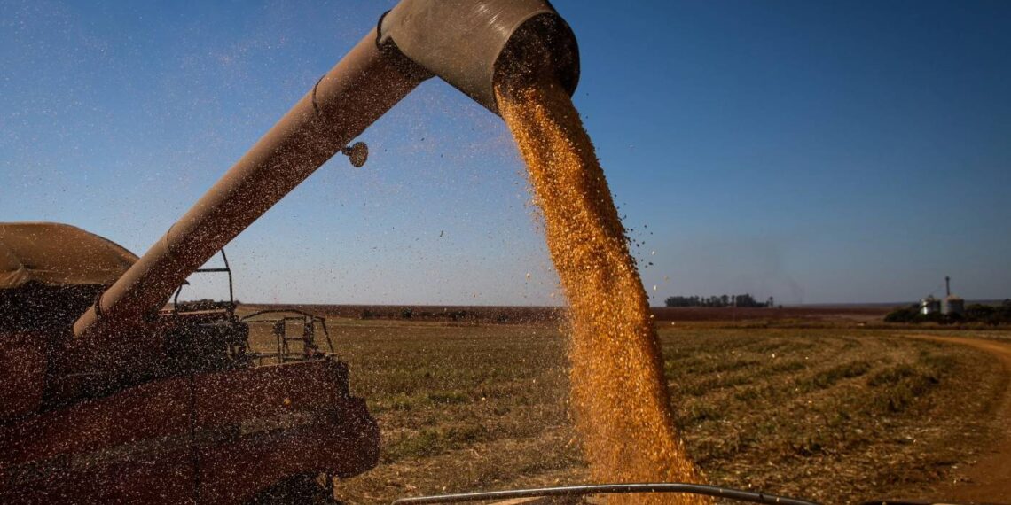 Seguro rural: o que muda com a nova lei