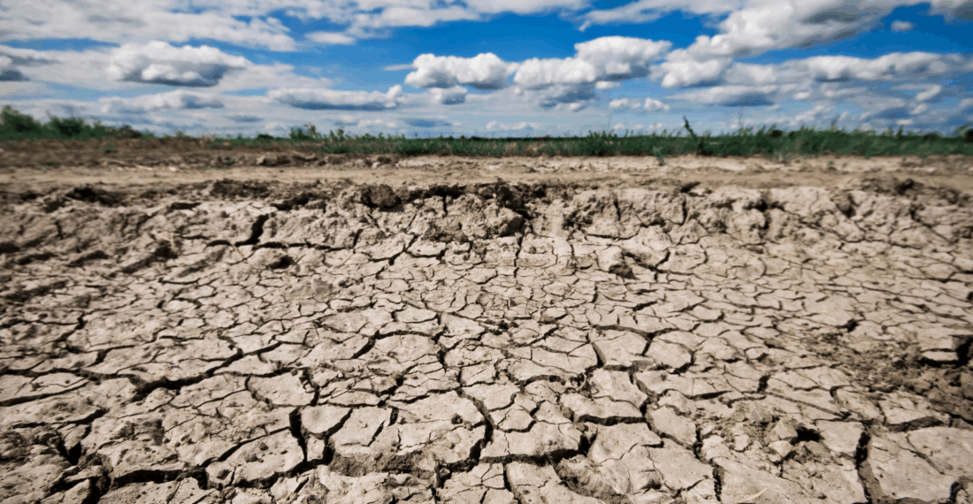 Acre concentra 69% dos casos de seca no Norte