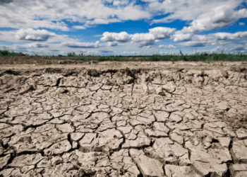Acre concentra 69% dos casos de seca no Norte